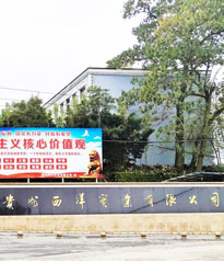 貴州西洋實(shí)業(yè)項(xiàng)目--借助眾升科技10KV戶外箱變式無(wú)功補(bǔ)償裝置，功率因數(shù)達(dá)標(biāo)！