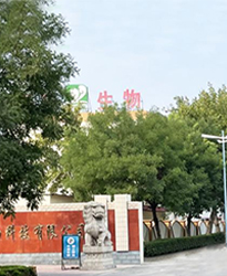 眾升科技高壓無功補償柜 --助力山東福洋生物科技股份有限公司,高效用電、改善用電質(zhì)量！