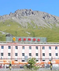 眾升科技系統(tǒng)輕載補(bǔ)償裝置--助力青海威斯特銅業(yè)有限責(zé)任公司，高效用電、改善電能質(zhì)量！