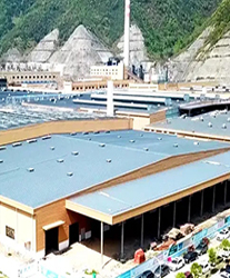 眾升科技高壓動態(tài)無功補償裝置(SVG)，助力中策橡膠 (建德) 有限公司，高效用電、改善電能質(zhì)量！